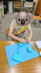 S__46727172.jpg