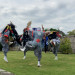 IMG_7486.jpg