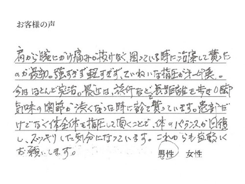 voice04.jpg