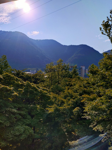 20250725_072433510.JPG