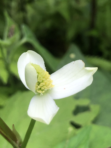 tempImageiyWFjp.jpg
