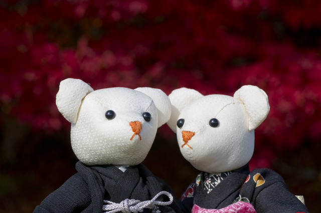 結婚相談所が誕生した背景と社会的役割の変化