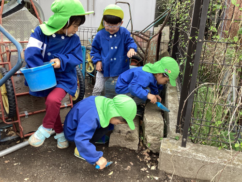 虫探し