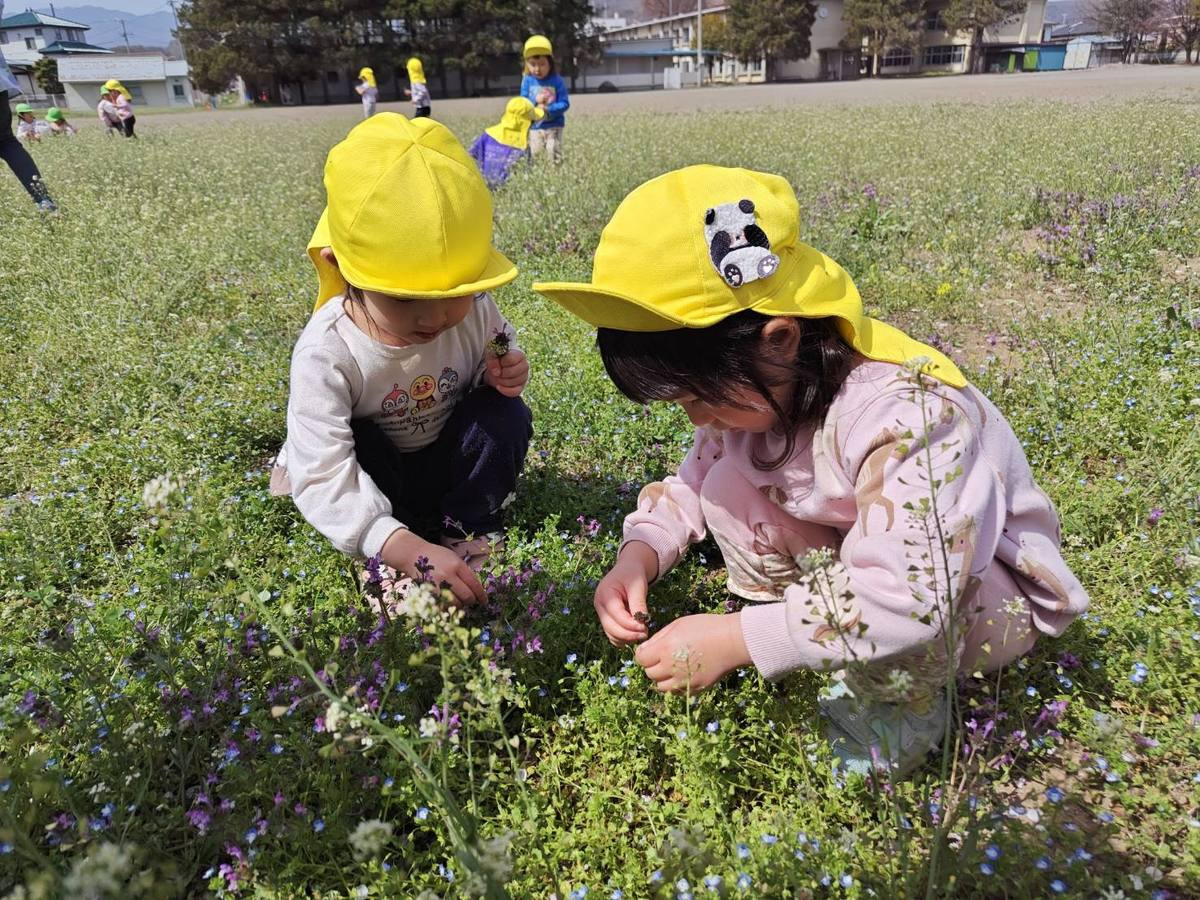 自然の中で