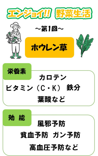 ホウレンソウ.jpg
