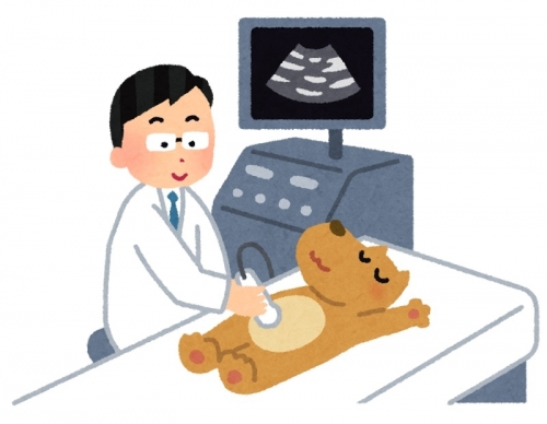 犬のエコー検査.jpg