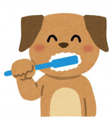 歯磨き犬.jpg