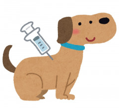 ワクチンの犬.jpg
