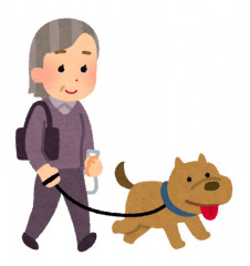 犬と散歩する年配の女性.jpg