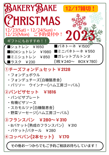 Gold Red and Green Playful Christmas Daily Schedule Portrait (7).png