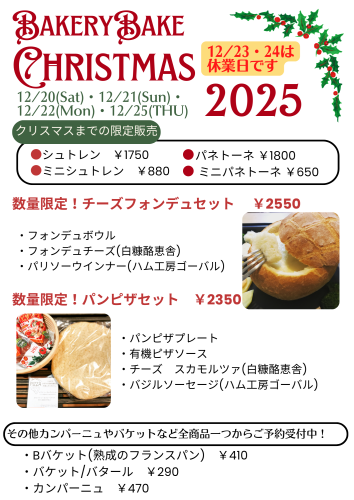 Gold Red and Green Playful Christmas Daily Schedule Portrait (9).png