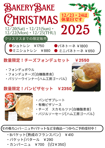 Gold Red and Green Playful Christmas Daily Schedule Portrait (13).png