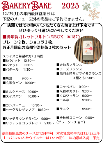 Gold Red and Green Playful Christmas Daily Schedule Portrait (16).png