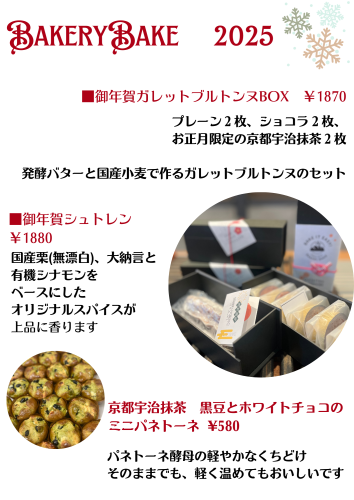 Gold Red and Green Playful Christmas Daily Schedule Portrait (17).png