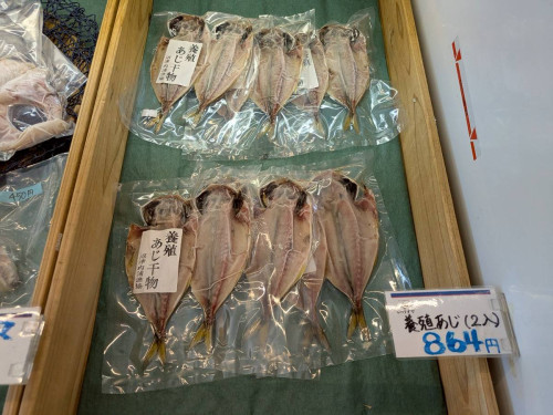 1753583203645-0.jpg