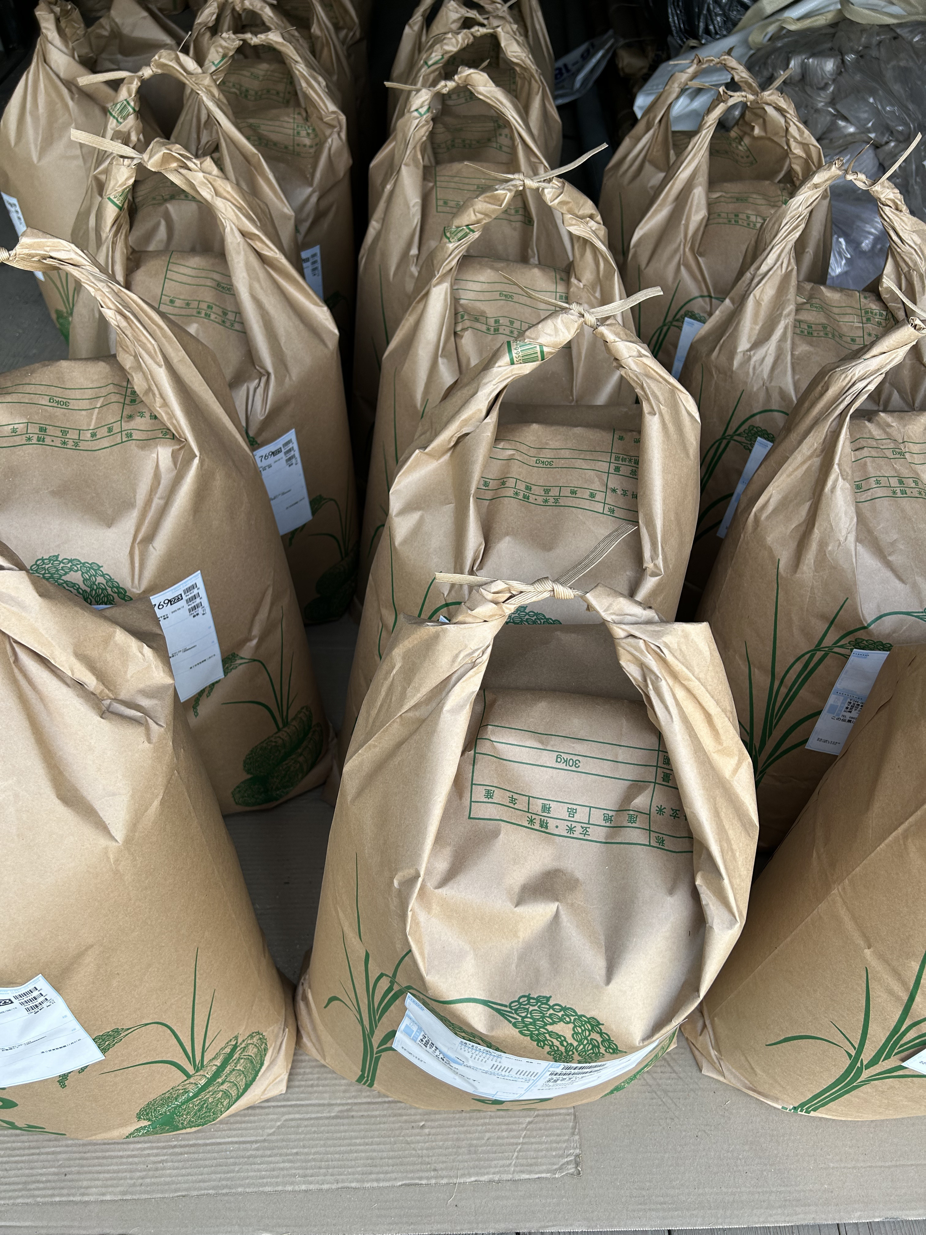 2025年度産　新米【ななつぼし】【ゆめぴりか】の販売仲です！