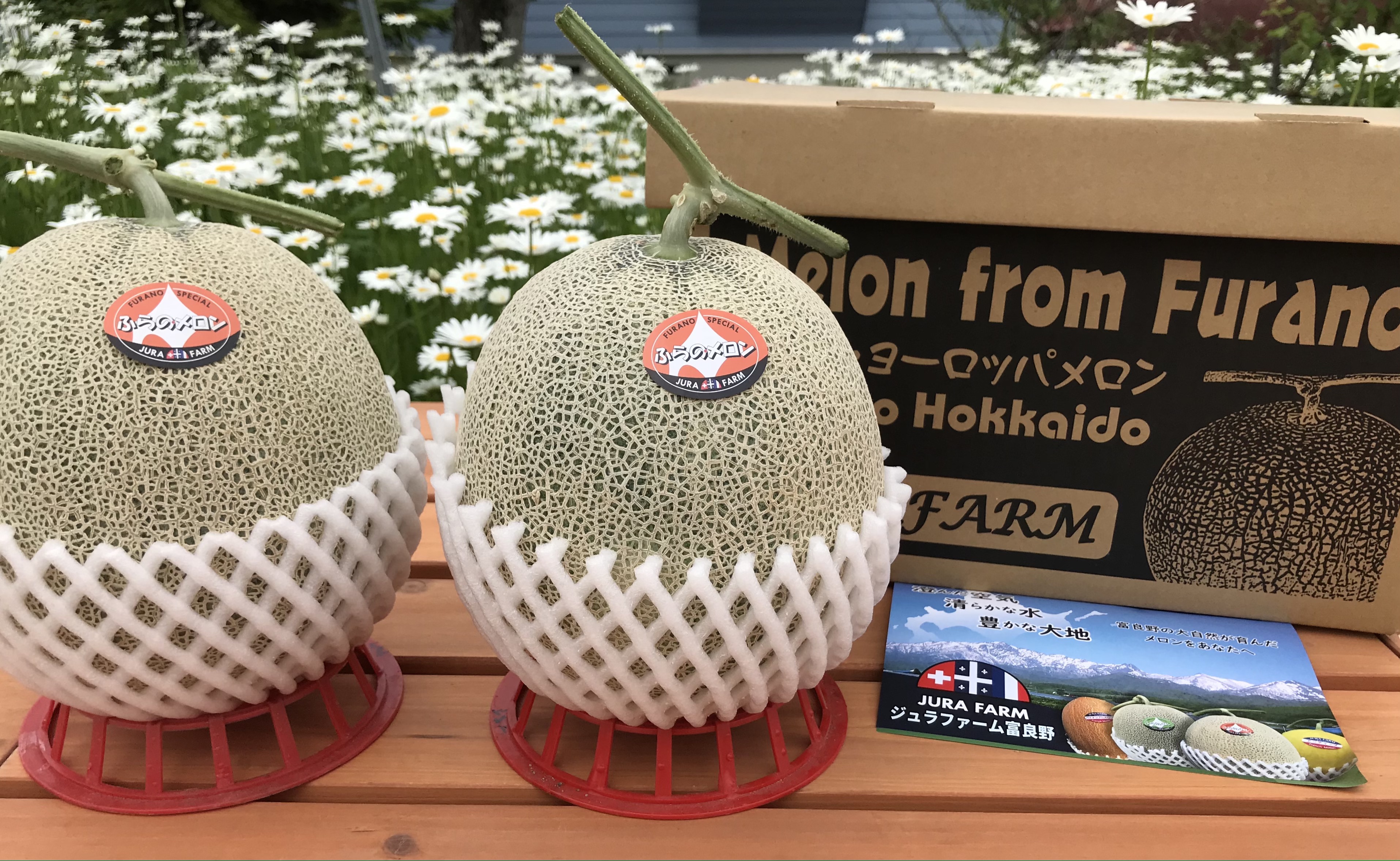富良野メロンの販売を開始しました！