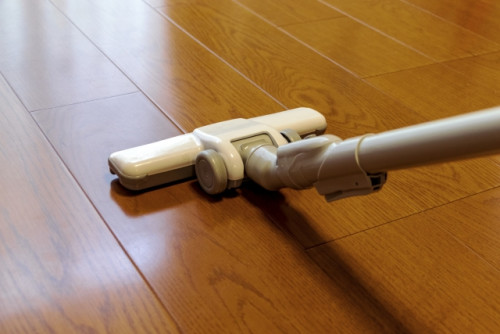 掃除機と人