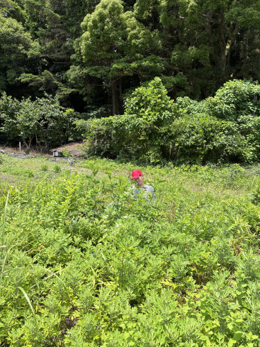 1A0AFD99-850D-4FD6-B8B4-BCDDC5619B75.jpg