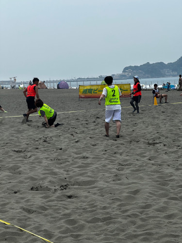 IMG_6504.jpeg