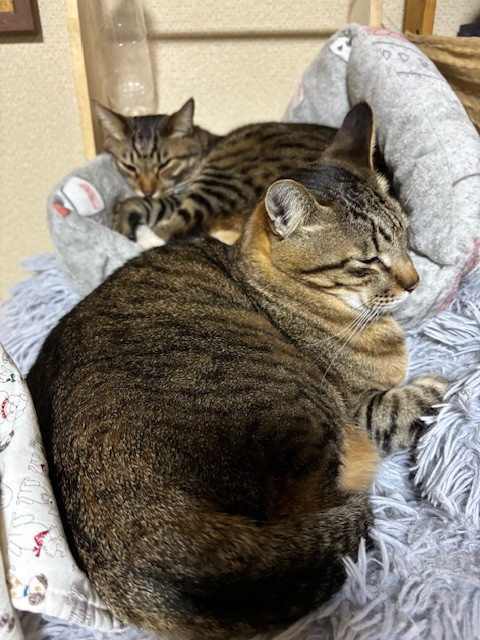 お盆休業日のお知らせ