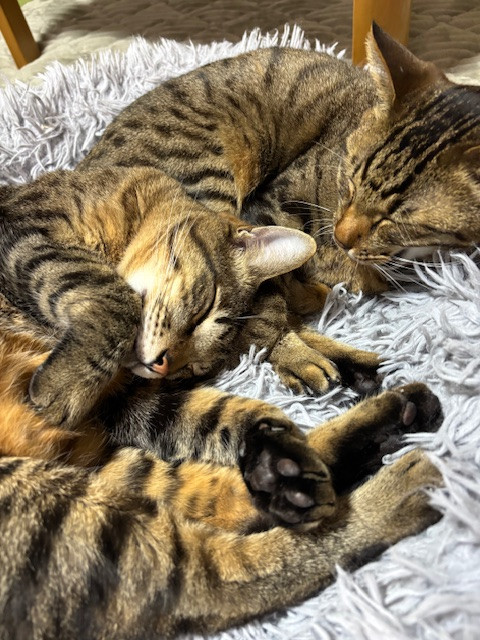 年末年始休業日のお知らせ