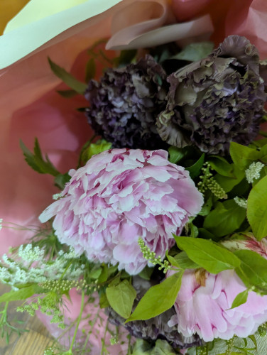 PXL_20250511.jpg