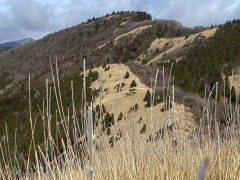 IMG_1634.JPG