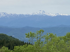 IMG_2512.JPG