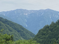 IMG_2521.JPG