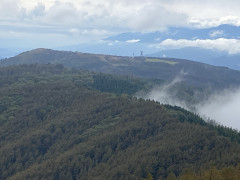 IMG_3814.JPG
