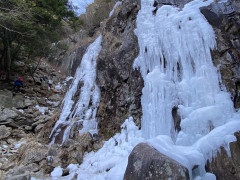 IMG_5365.JPG