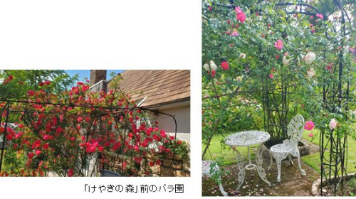 1-4.jpg
