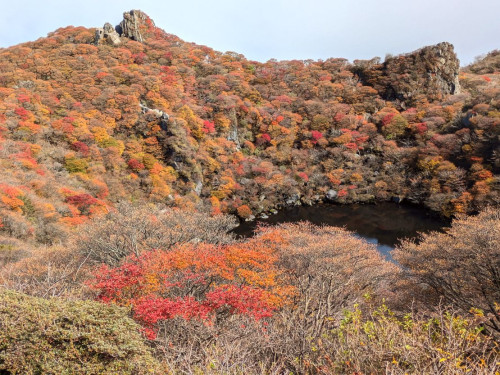 ④御池周りの紅葉.jpg