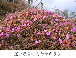 ①ー６.jpg