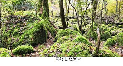 ⑥ー３.jpg