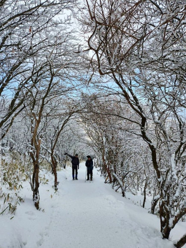 雪のトンネル.jpg