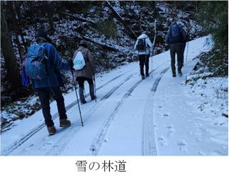 5-1.jpg