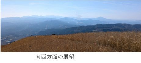 大福３.jpg