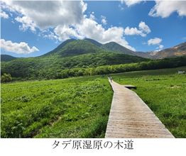 指山１.jpg