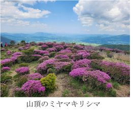 指山２.jpg