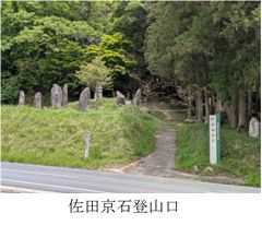 米神-1.jpg