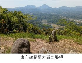 米神-3.jpg