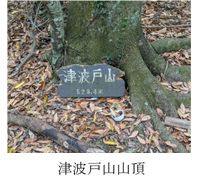 大倉津波戸山-4.jpg