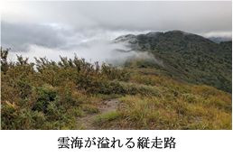 4-3雲海.jpg