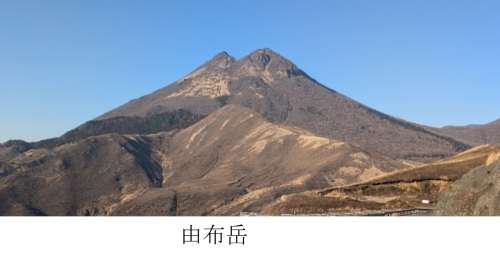画像7.png