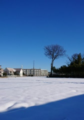 thumbnail__20180124_101258.jpg