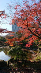 DSC_0024.JPG