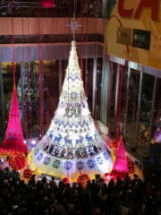 thumbnail_1545711101002.jpg