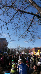 DSC_0054.JPG
